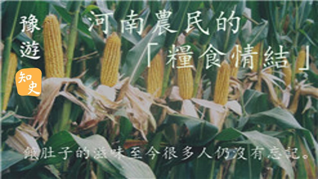 河南農民的「糧食情結」｜豫遊中原