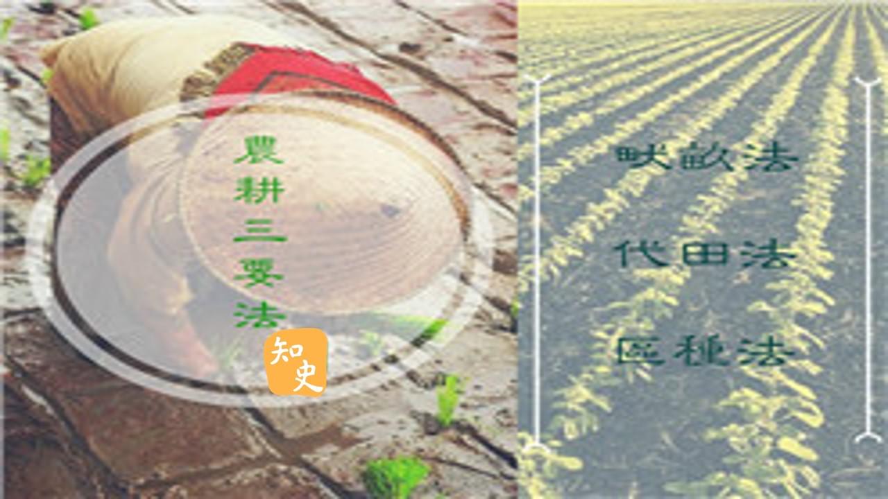 抗旱、排澇、增產｜五穀豐登