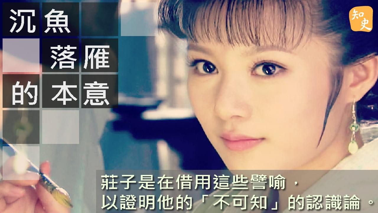 沉魚落雁｜ 講古佬