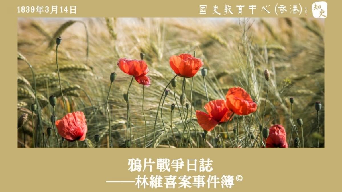 【1839年3月14日】鴉片戰爭日誌——林維喜案事件簿