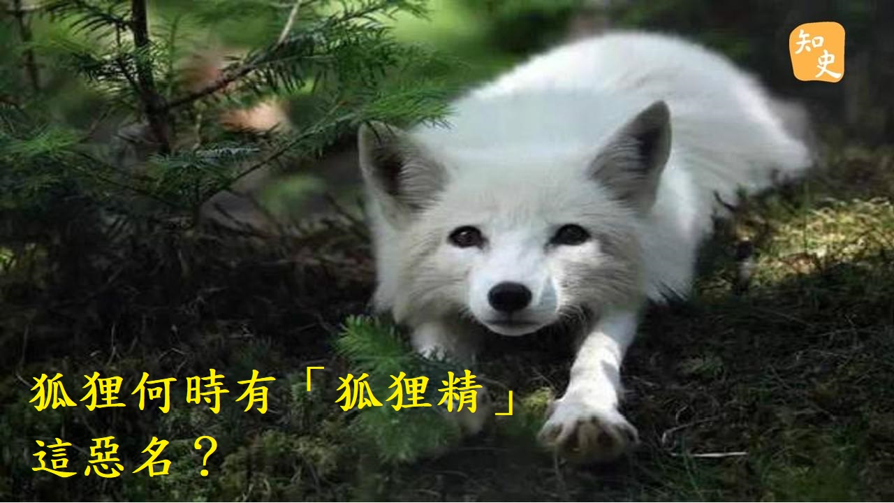 狐狸從什麼時候有「狐狸精」這個惡名的？