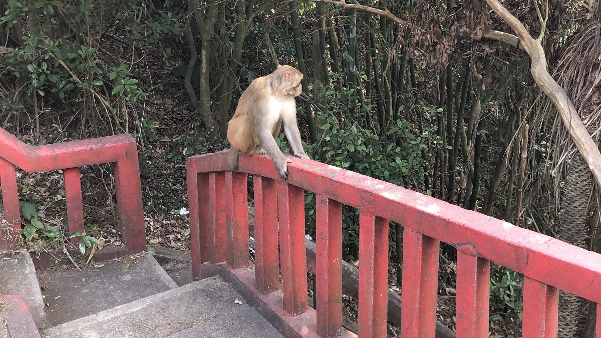 百年交通，慈沙古道