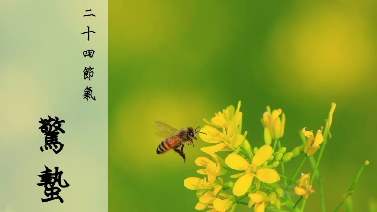 驚蟄知多少