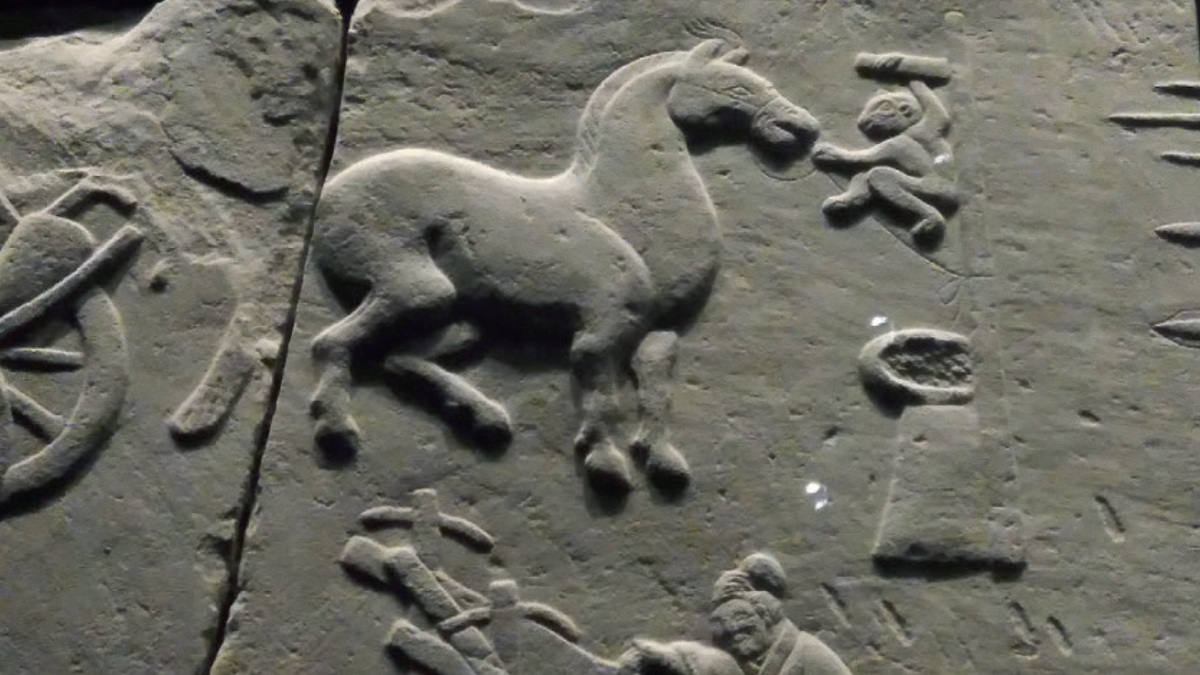 馬年説「弼馬溫」